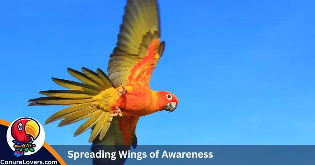 Spreading Wings of Awareness