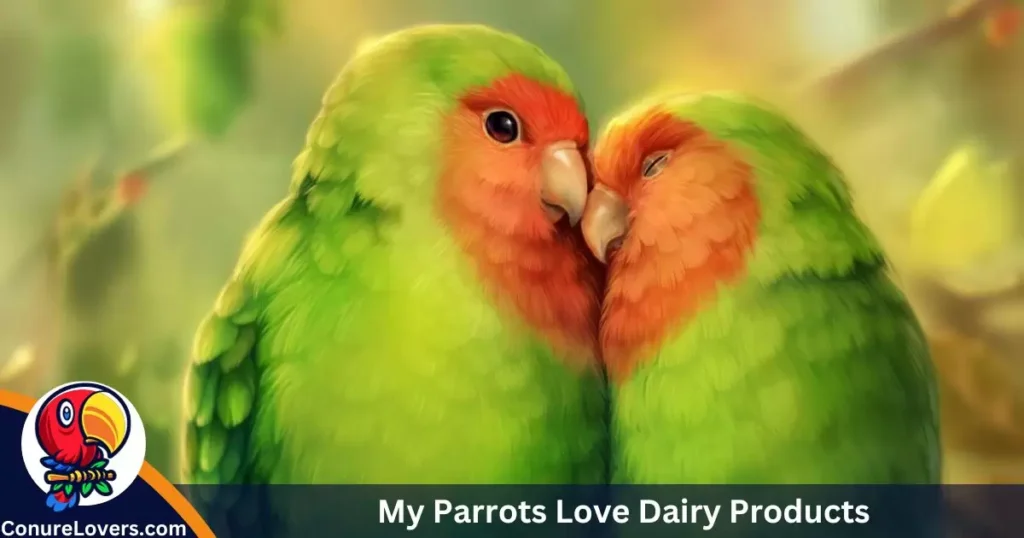 My Parrots Love Dairy Products