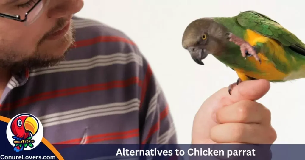 Alternatives to Chicken