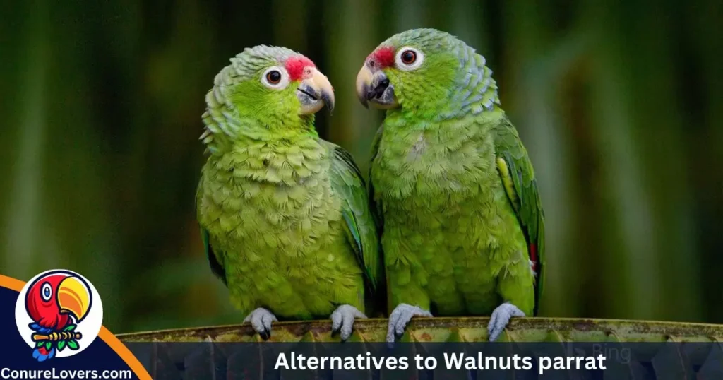 Alternatives to Walnuts