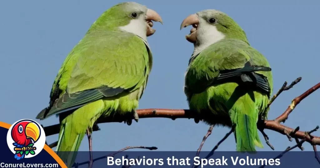 Behaviors that Speak Volumes 