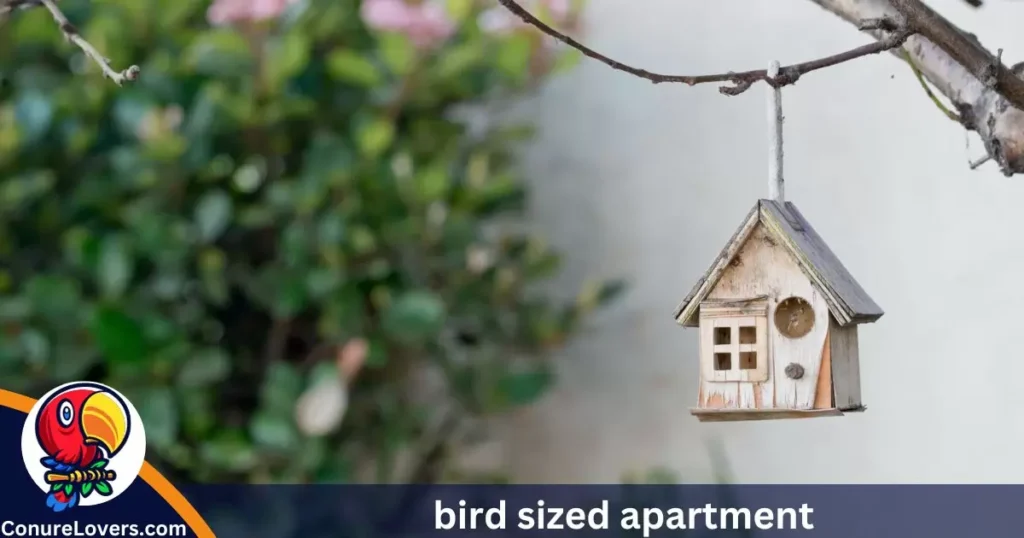 bird-sized apartment