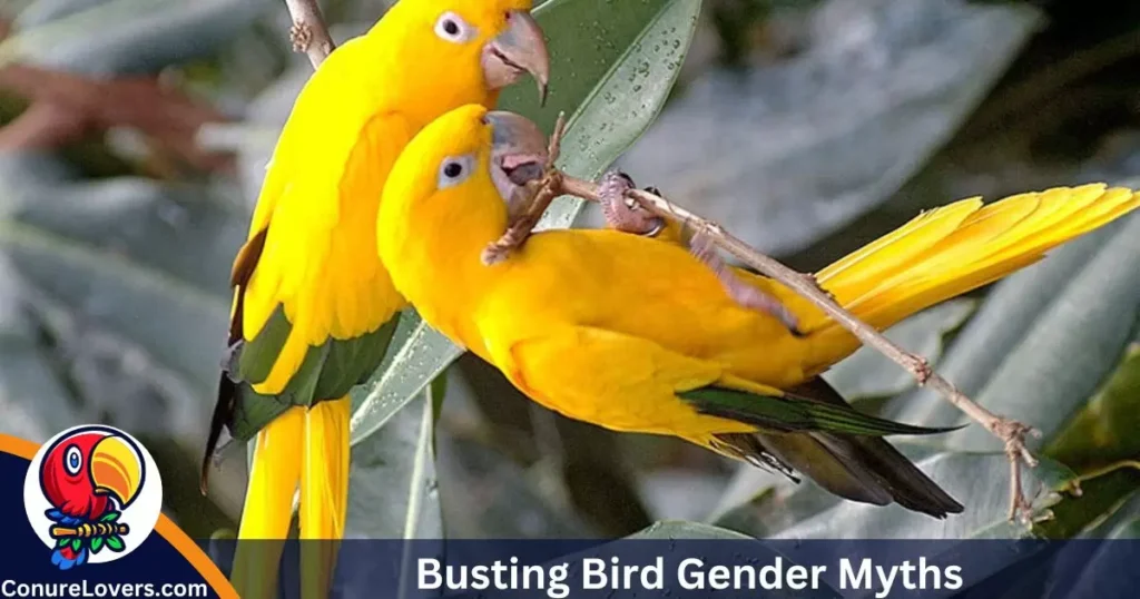 Busting Bird Gender Myths 