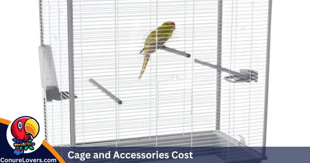 Cage and Accessories Cost