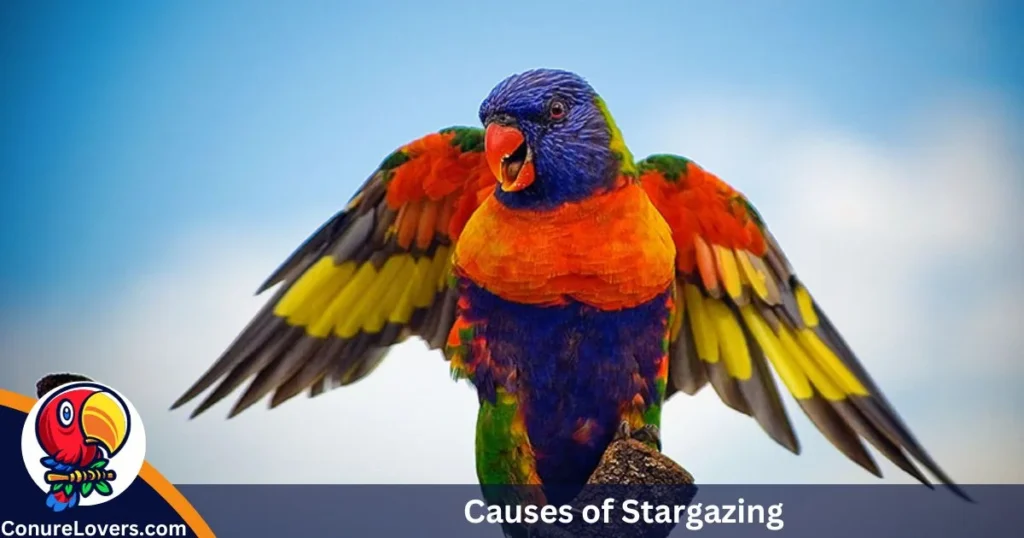 Causes of Stargazing