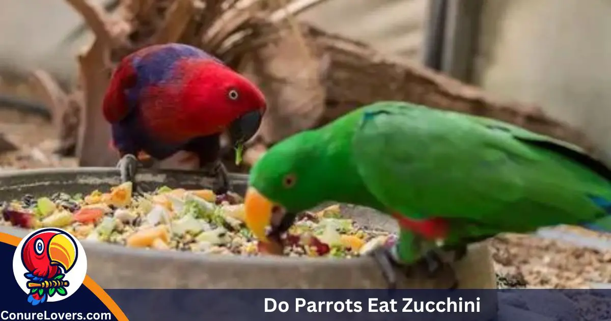 Do Parrots Eat Zucchini