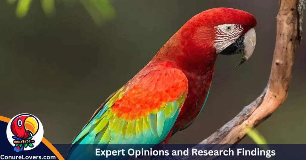 Expert Opinions and Research Findings 