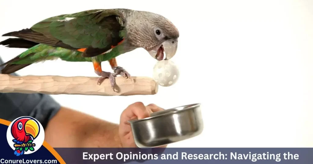 Expert Opinions and Research: Navigating the Birdie Nutrition Maze