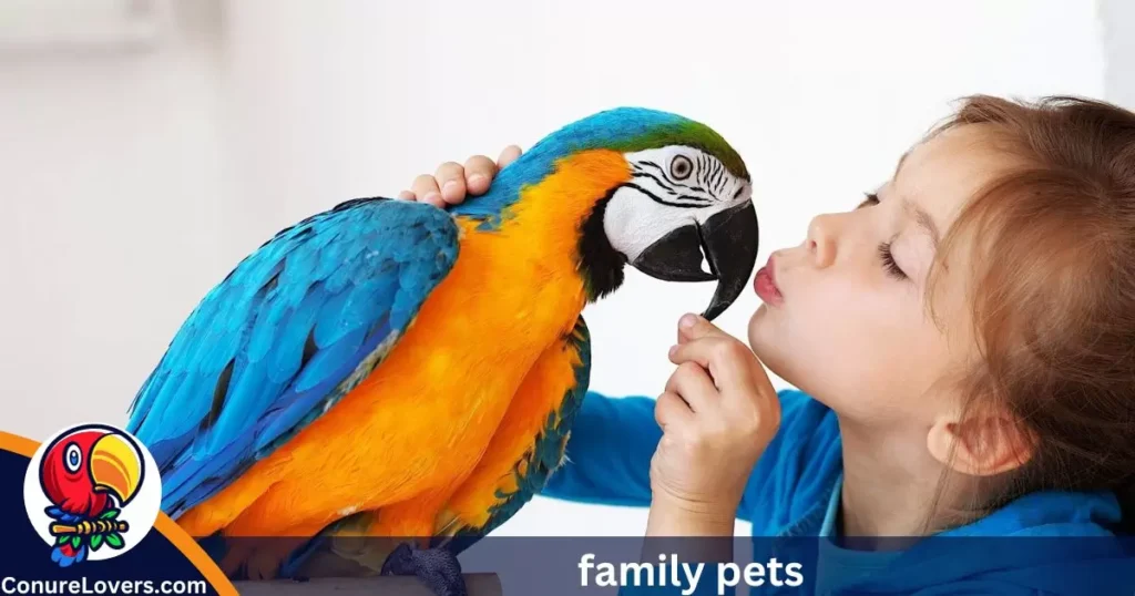 family pets