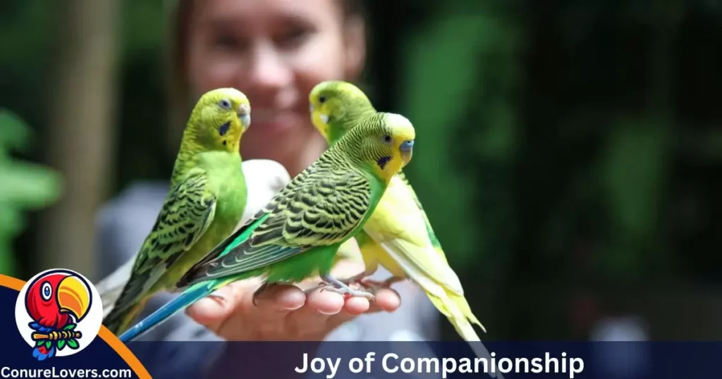 Joy of Companionship