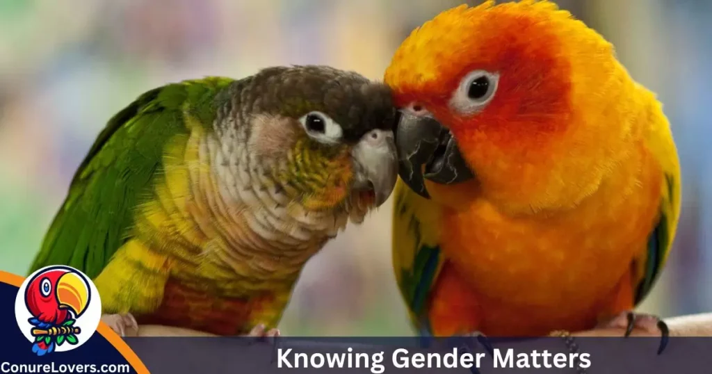 Knowing Gender Matters