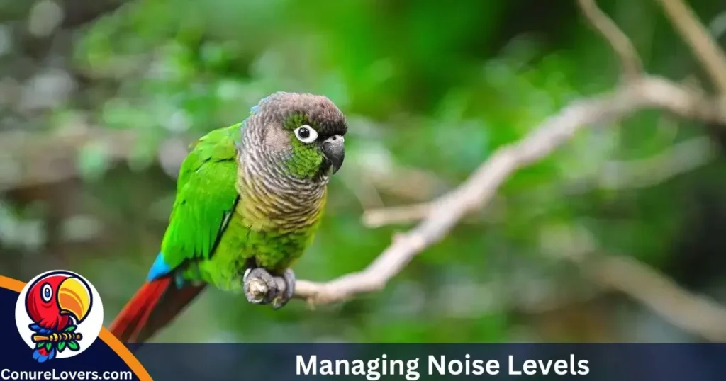 Managing Noise Levels