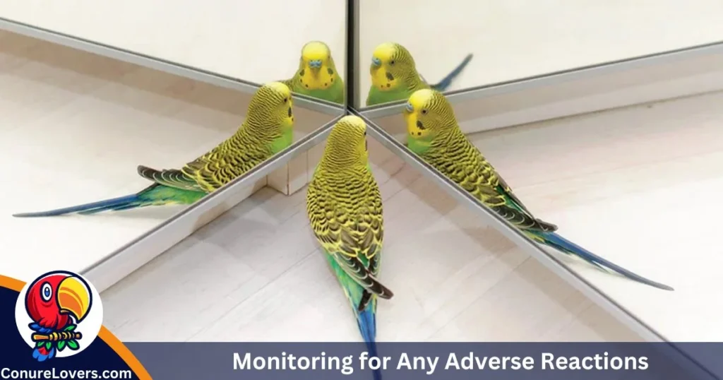 Monitoring for Any Adverse Reactions