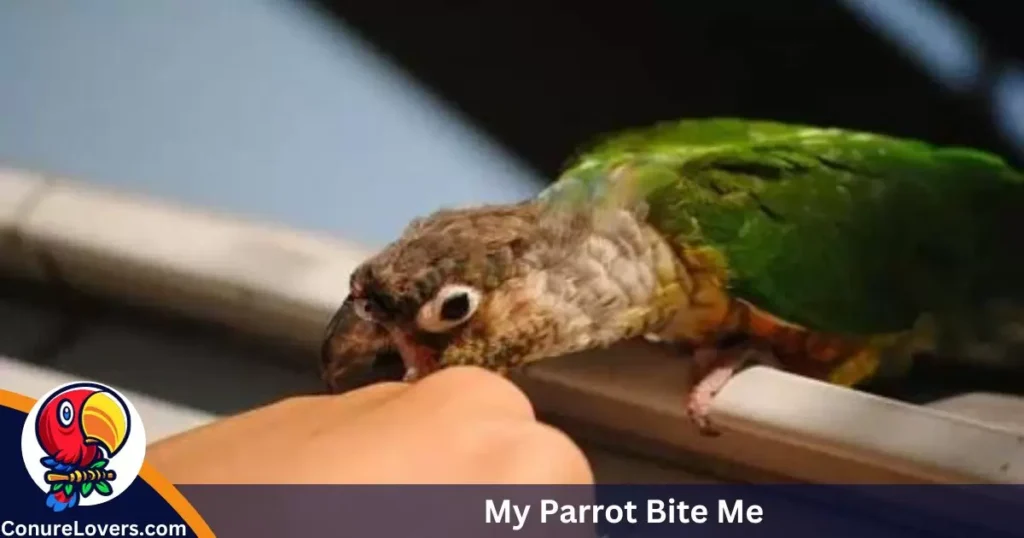 My Parrot Bite Me