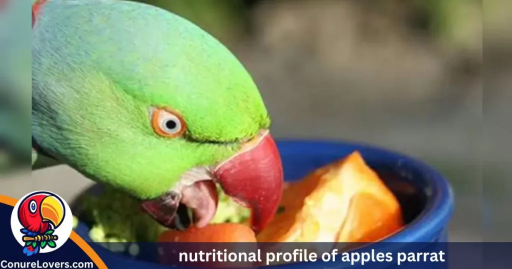 Nutritional Profile of Apples