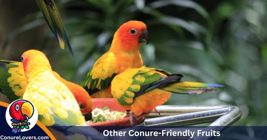 Other Conure-Friendly Fruits 