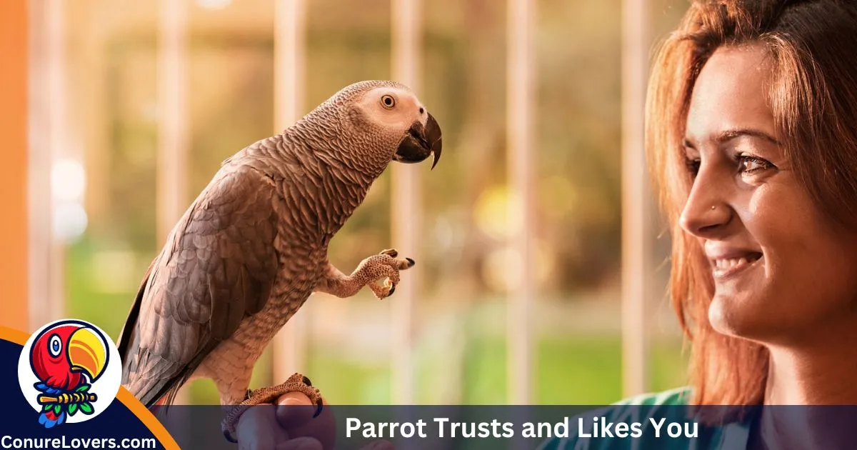 Parrot Trusts and Likes You