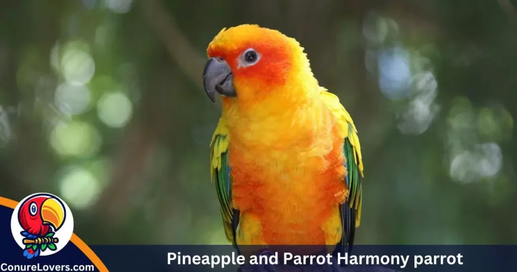 Pineapple and Parrot Harmony 