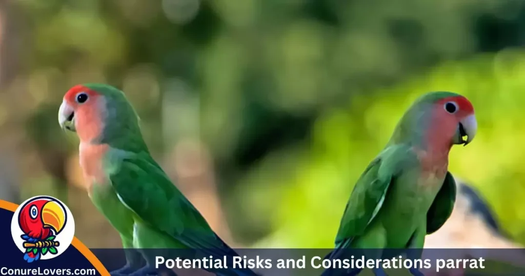 Potential Risks and Considerations