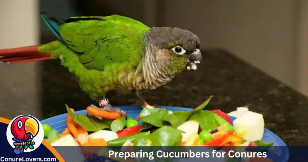 Preparing Cucumbers for Conures