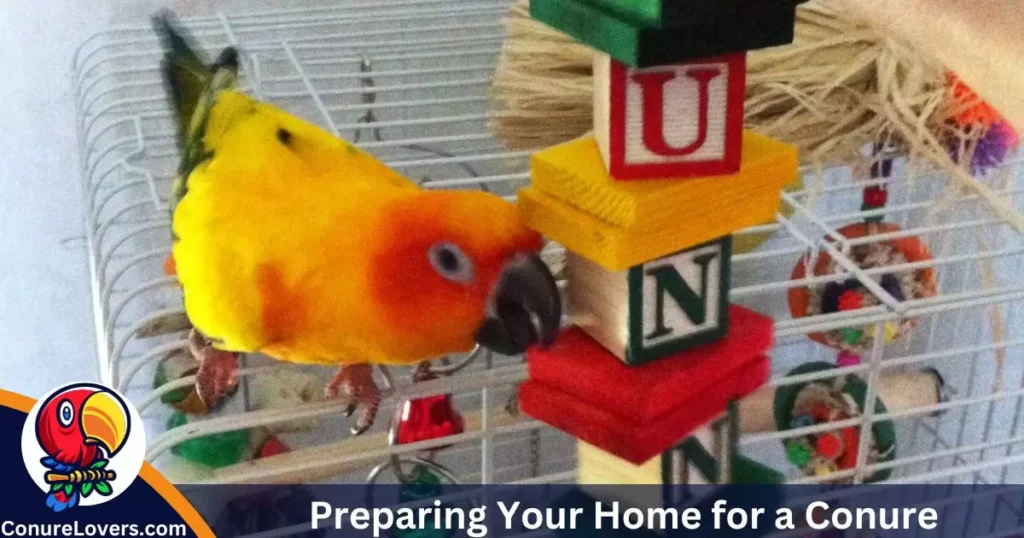 Preparing Your Home for a Conure