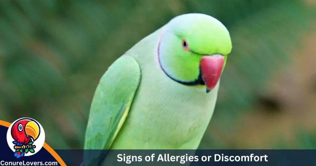 Signs of Allergies or Discomfort