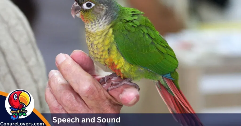 Speech and Sound