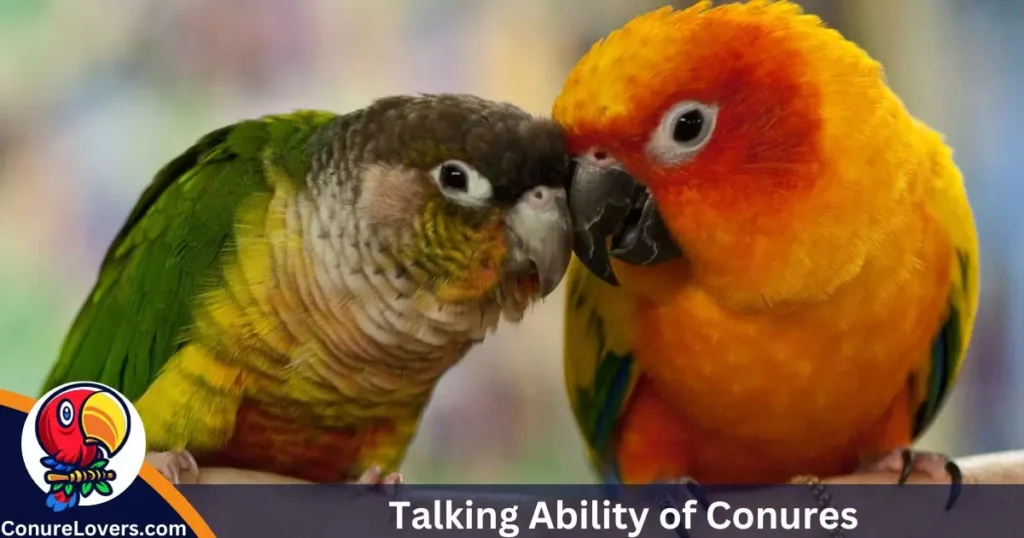 Talking Ability of Conures