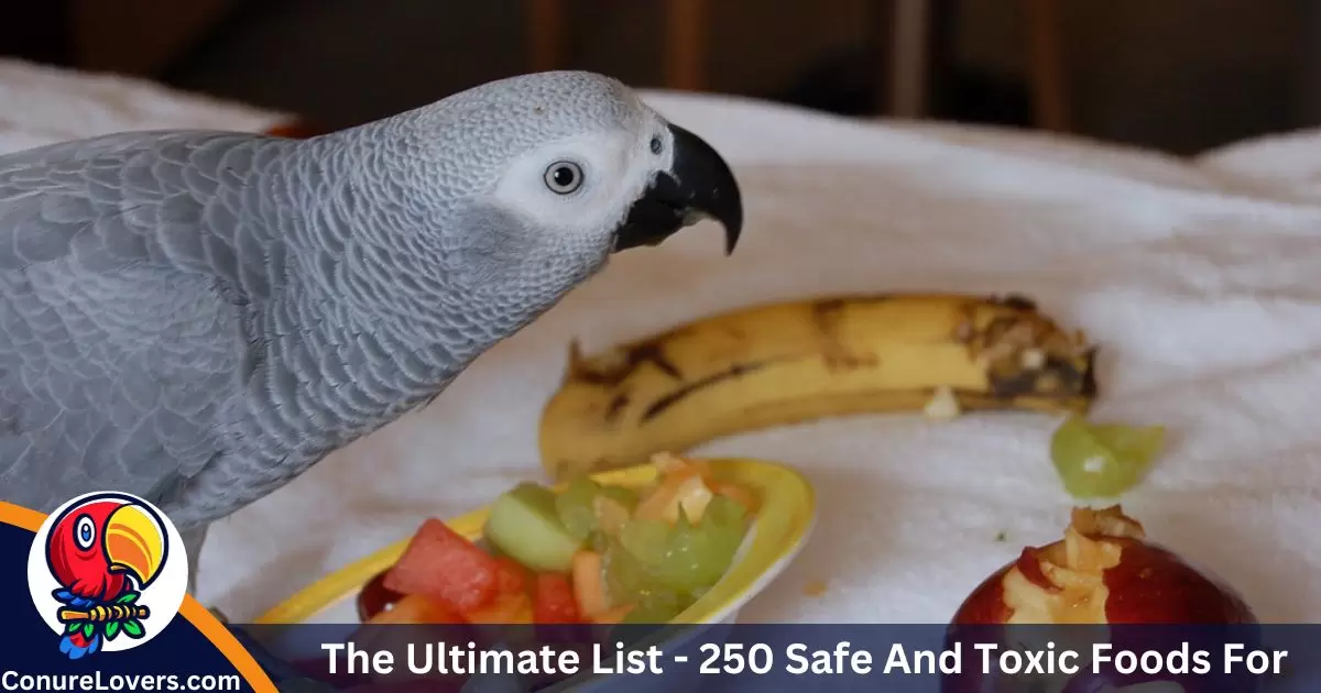 Safe food and plants list for parrots - ExoticDirect