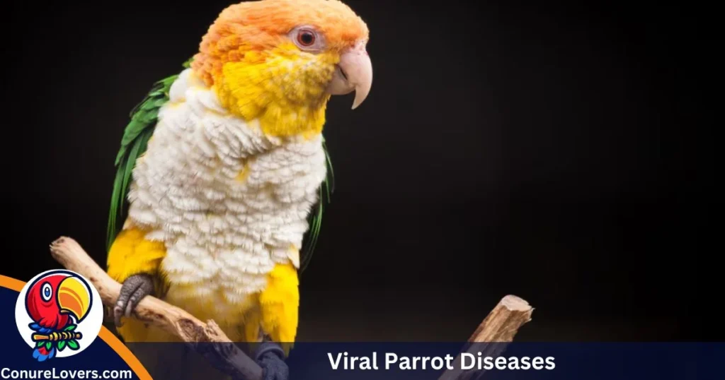 Viral Parrot Diseases