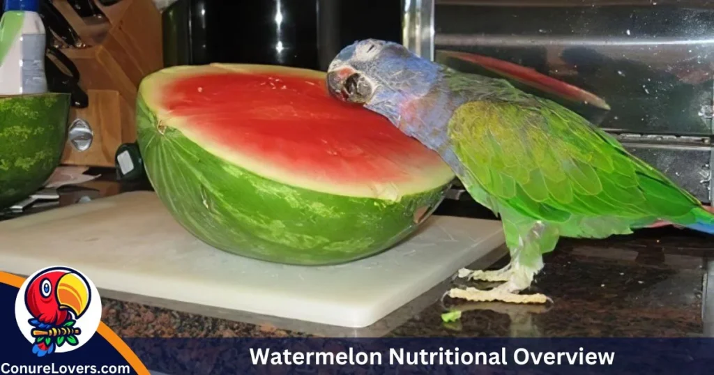 Watermelon Nutritional Overview 