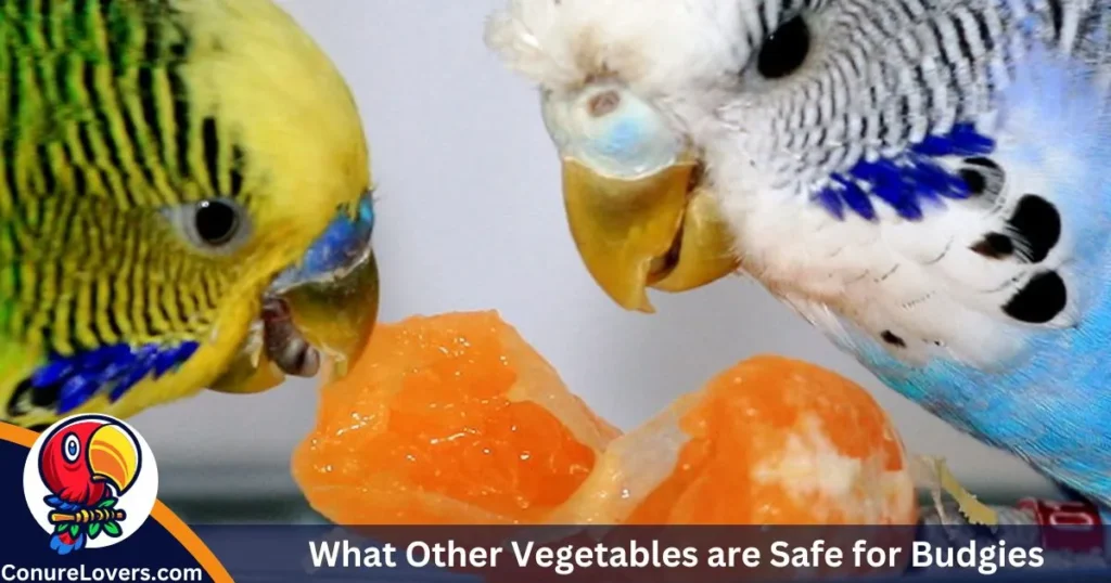 What Other Vegetables are Safe for Budgies