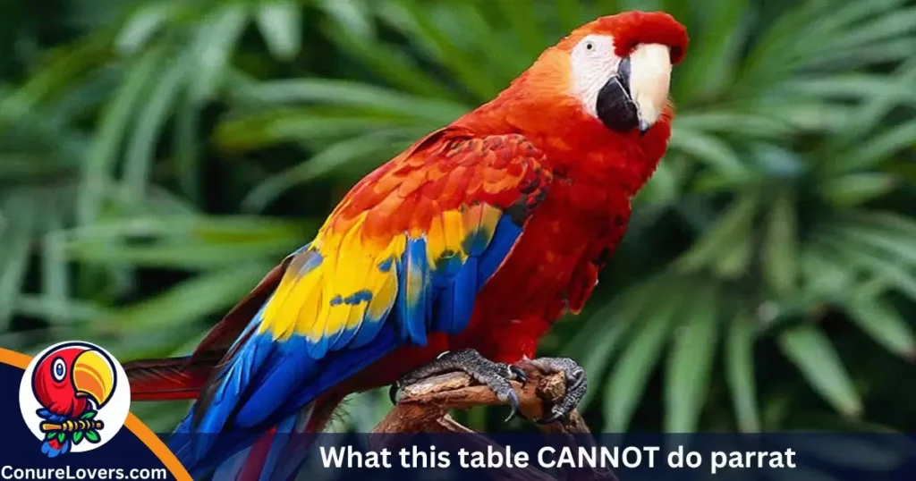 What this table CANNOT do parrat